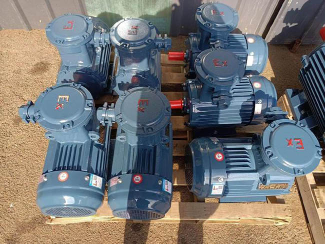 圖為西安西瑪YE系列交流電機(jī)照片 圖為西安西瑪YE系列交流電機(jī)照片